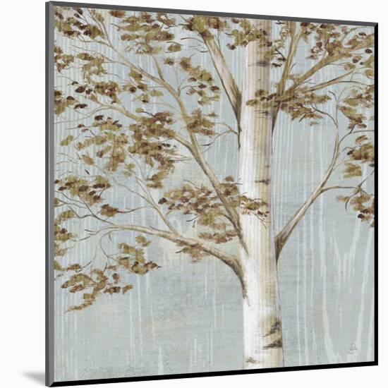 Birch Study I-Daphné B-Mounted Art Print