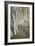 Birch Trail-Natalie Mikaels-Framed Photographic Print