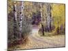 Birch Tree DriveFence & Road, Santa Fe, New Mexico 06-Monte Nagler-Mounted Photographic Print