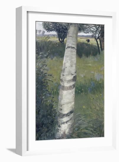 Birch Tree in Bloomy Landscape, 1903-Otto Mueller-Framed Giclee Print