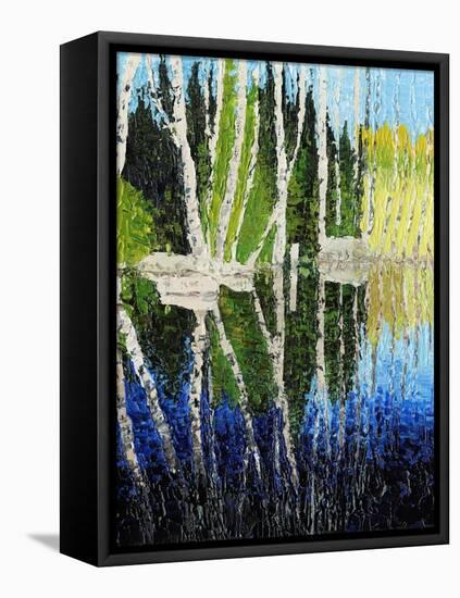 Birch Tree Reflections-Kevin Dodds-Framed Premier Image Canvas