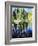 Birch Tree Reflections-Kevin Dodds-Framed Giclee Print