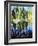 Birch Tree Reflections-Kevin Dodds-Framed Giclee Print