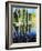 Birch Tree Reflections-Kevin Dodds-Framed Giclee Print