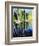 Birch Tree Reflections-Kevin Dodds-Framed Giclee Print