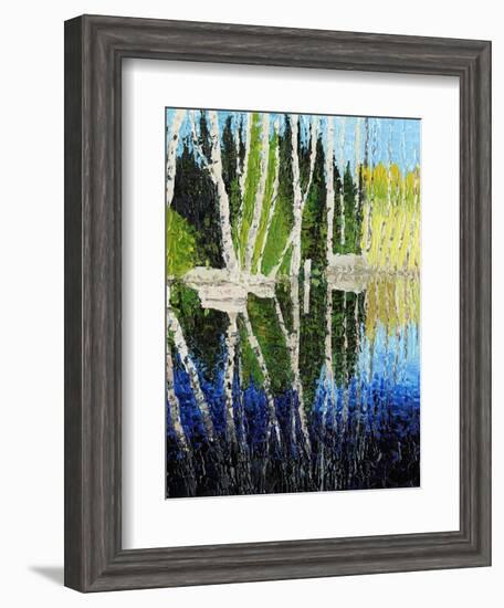 Birch Tree Reflections-Kevin Dodds-Framed Giclee Print