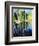 Birch Tree Reflections-Kevin Dodds-Framed Giclee Print