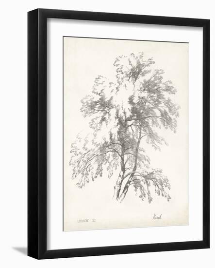 Birch Tree Study-null-Framed Art Print