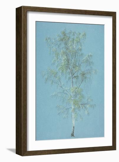 Birch Tree-J. M. W. Turner-Framed Giclee Print