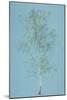 Birch Tree-J. M. W. Turner-Mounted Giclee Print