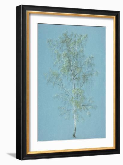 Birch Tree-J. M. W. Turner-Framed Giclee Print