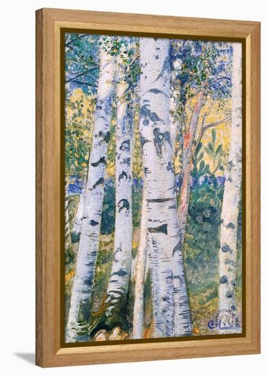 Birch Trees, 1910-Carl Larsson-Framed Premier Image Canvas