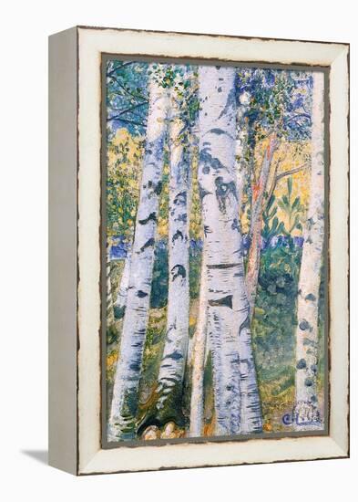 Birch Trees, 1910-Carl Larsson-Framed Premier Image Canvas