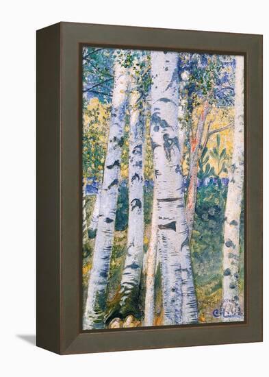 Birch Trees, 1910-Carl Larsson-Framed Premier Image Canvas