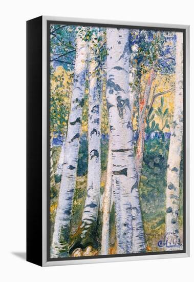 Birch Trees, 1910-Carl Larsson-Framed Premier Image Canvas