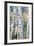 Birch Trees, 1910-Carl Larsson-Framed Giclee Print