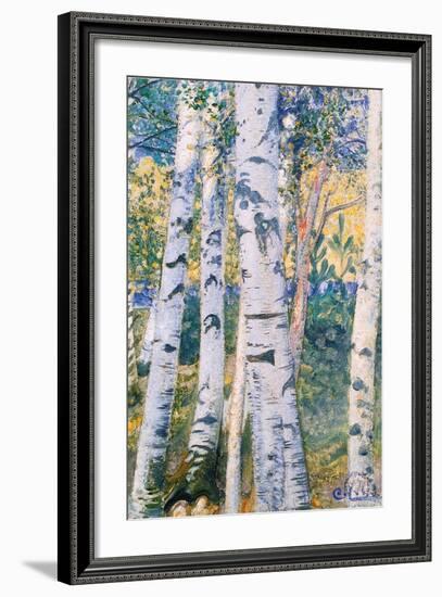 Birch Trees, 1910-Carl Larsson-Framed Giclee Print