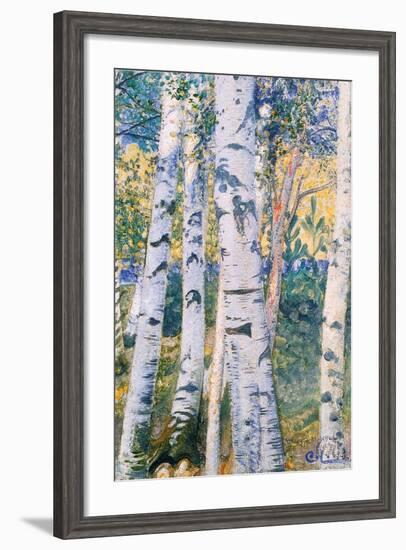 Birch Trees, 1910-Carl Larsson-Framed Giclee Print