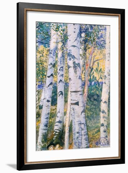 Birch Trees, 1910-Carl Larsson-Framed Giclee Print