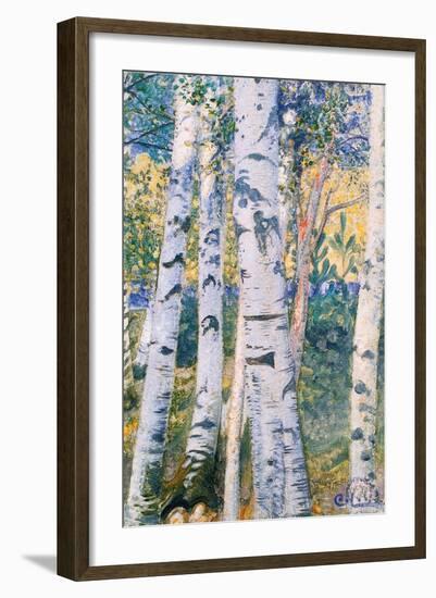 Birch Trees, 1910-Carl Larsson-Framed Giclee Print