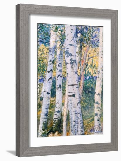 Birch Trees, 1910-Carl Larsson-Framed Giclee Print