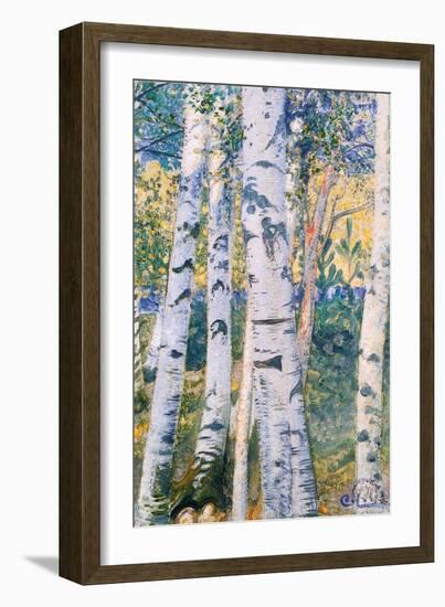 Birch Trees, 1910-Carl Larsson-Framed Giclee Print