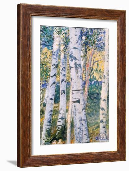 Birch Trees, 1910-Carl Larsson-Framed Giclee Print