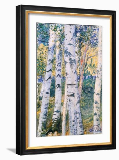 Birch Trees, 1910-Carl Larsson-Framed Giclee Print