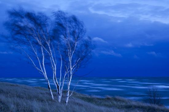 Photographic Print, , large