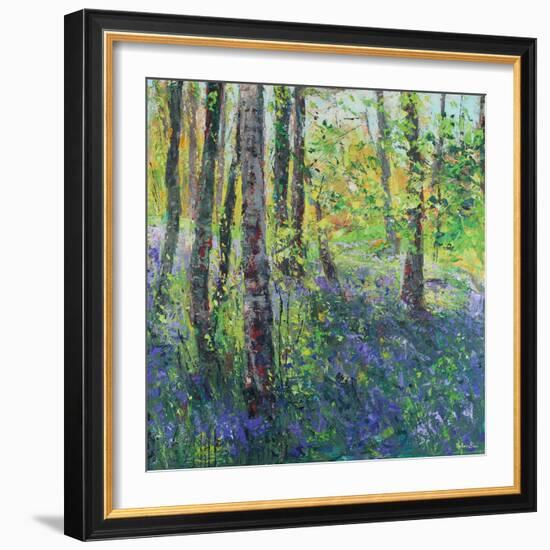Birch Trees and Bluebells-Sylvia Paul-Framed Giclee Print