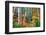 Birch Trees And Foliage, New Hampshire-George Oze-Framed Photographic Print