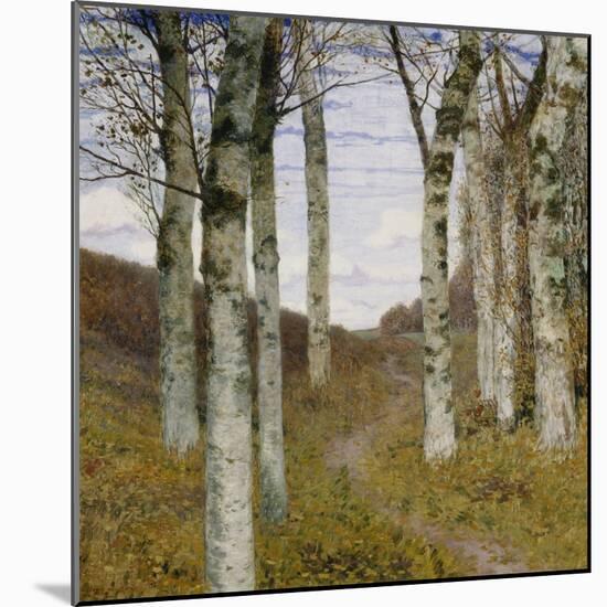 Birch Trees in Autumn, C.1898 (Oil on Wood)-Hans Am Ende-Mounted Giclee Print