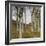 Birch Trees in Autumn, C.1898 (Oil on Wood)-Hans Am Ende-Framed Giclee Print