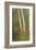 Birch Trees in Autumn-Frederic Edwin Church-Framed Premium Giclee Print