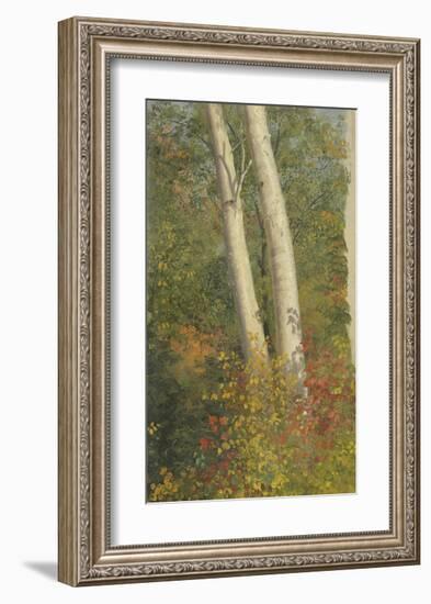 Birch Trees in Autumn-Frederic Edwin Church-Framed Premium Giclee Print