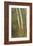 Birch Trees in Autumn-Frederic Edwin Church-Framed Premium Giclee Print