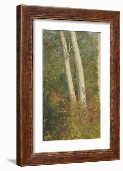 Birch Trees in Autumn-Frederic Edwin Church-Framed Premium Giclee Print