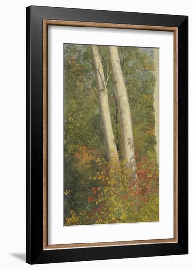 Birch Trees in Autumn-Frederic Edwin Church-Framed Premium Giclee Print