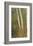 Birch Trees in Autumn-Frederic Edwin Church-Framed Premium Giclee Print