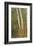 Birch Trees in Autumn-Frederic Edwin Church-Framed Premium Giclee Print