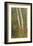 Birch Trees in Autumn-Frederic Edwin Church-Framed Premium Giclee Print