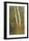 Birch Trees in Autumn-Frederic Edwin Church-Framed Premium Giclee Print