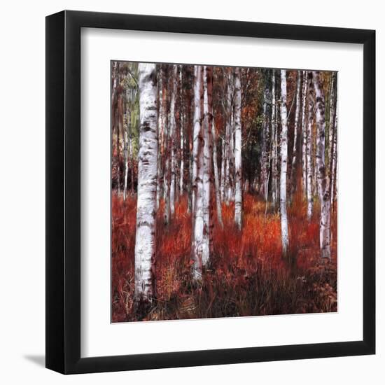 Birch Trees in Fire Grass 1-null-Framed Art Print