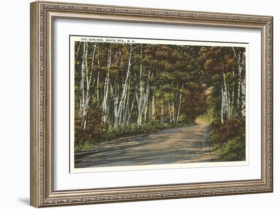 Birch Trees, White Mountains, New Hampshire-null-Framed Art Print