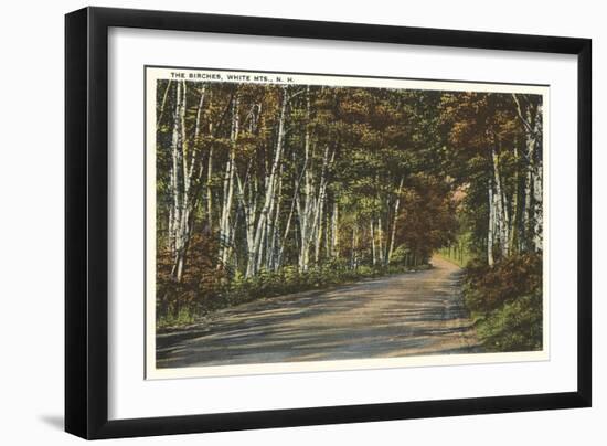 Birch Trees, White Mountains, New Hampshire-null-Framed Art Print