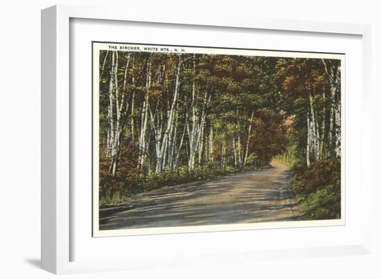 Birch Trees, White Mountains, New Hampshire-null-Framed Art Print