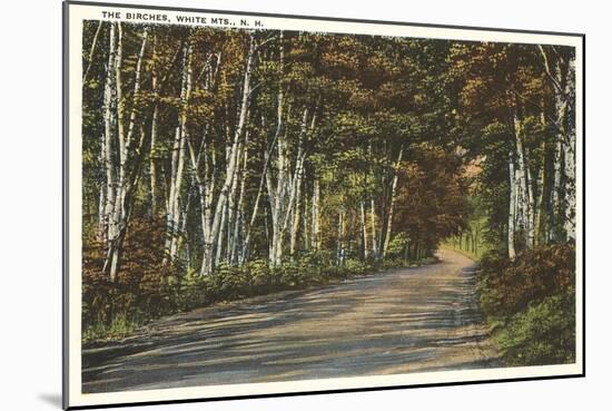 Birch Trees, White Mountains, New Hampshire-null-Mounted Art Print