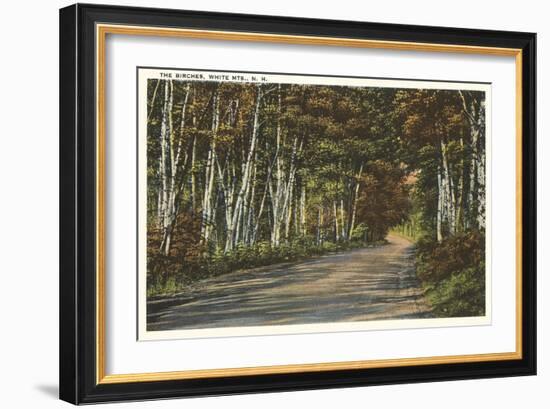 Birch Trees, White Mountains, New Hampshire-null-Framed Art Print