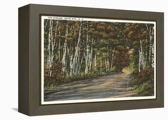 Birch Trees, White Mountains, New Hampshire-null-Framed Stretched Canvas