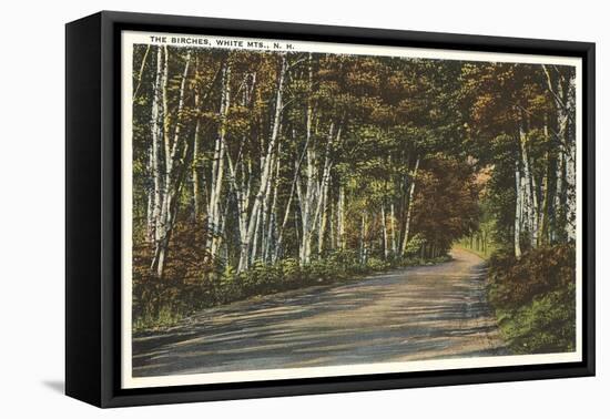 Birch Trees, White Mountains, New Hampshire-null-Framed Stretched Canvas